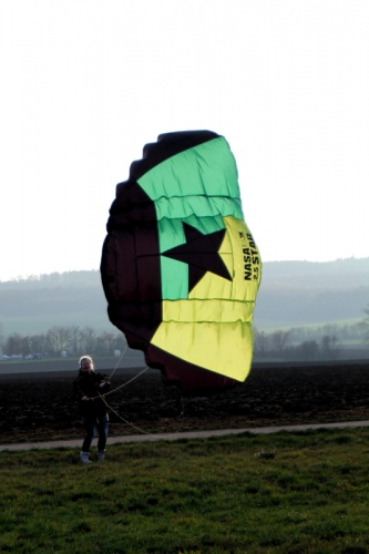 2.5sqm NASA STAR -4- (kite only)